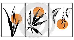 Set of 3 Printable Illustrations, Minimalist Pattern, Plants, Flowers, Sunset, Wall Art,