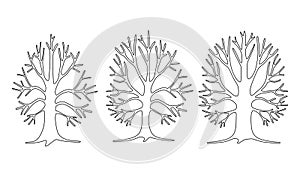 Set of 3 trees with branches without leaves and roots. Winter pattern. Linear drawing. Vector illustration