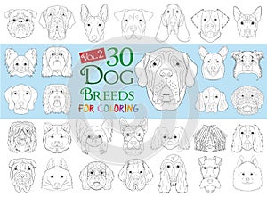 Set of 30 different dog breeds for coloring in cartoon style
