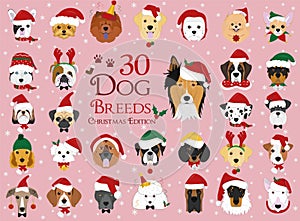 Set of 30 dog breeds with Christmas and winter themes