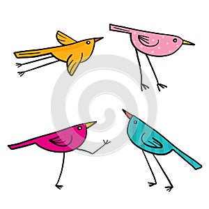 Set of 4 cute birds isolated in white in vector.