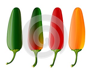 Set of 4 jalapeno peppers