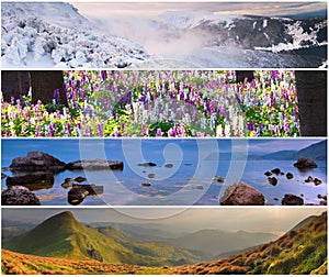 Set of the 4 seasons landscape