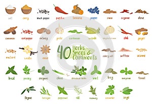 Set of 40 different culinary herbs, species and condiments in cartoon style.