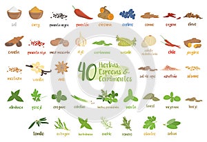 Set of 40 different culinary herbs, species and condiments in cartoon style. Spanish names.