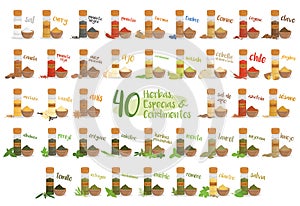 Set of 40 different culinary herbs, species and condiments in cartoon style. Spanish names. Vector Illustration