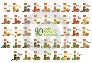 Set of 40 different culinary herbs, species and condiments in cartoon style. Vector Illustration