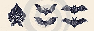 Set of 5 bat icons. Different bat icons isolated on white background.