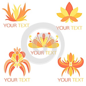 Set of 5 orange exotic floral logos