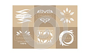 Set of 6 original monochrome emblems with leaves and text. 100 organic product. Healthy lifestyle. Creative logo