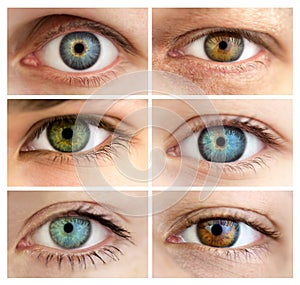 Set of 6 Real Different Open Eyes / Huge Size photo