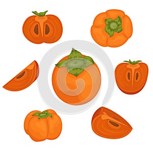 The set of 7 ripe persimmons. Persimmon whole and pieces. Vector illustration of fruits