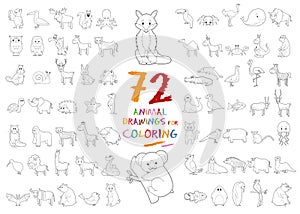 Set of 72 Animal Drawings for Coloring