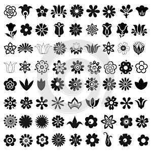 Set of 72 vector icons flowers