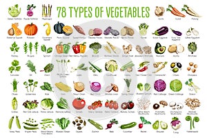 A set of 78 Vegetables icons