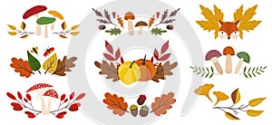 Set of 9 autumn fall compositions with leaves, mushrooms, fox, pumpkins. Seasonal isolated elements. Flat cartoon design.