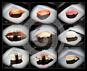 Set of 9 different nigirizushi (sushi)