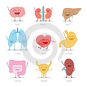 Set of 9 human organs in cartoon style: brain, kidneys, liver, lungs, heart, stomach, intestine, bladder and spleen.