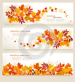 Set of abstract autumn banners with colorful leaves