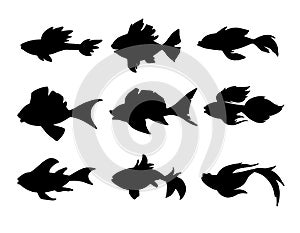 Set of abstract black fish silhouettes. Marine animals at depth. Vector illustration isolated on white background. Fish shape