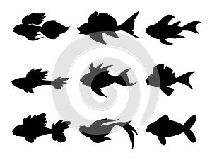 Set of abstract black fish silhouettes. Marine animals at depth. Vector illustration isolated on white background. Fish shape