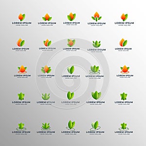 Set of Abstract business nature logo design element vector