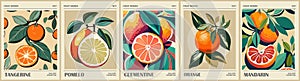 Set of abstract Citrus Fruit Market retro posters.