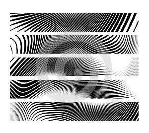 Set of abstract creative Zebra horizontal banner background.