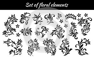 Set of abstract floral elements isolated on white background.