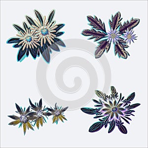 Set of abstract flowers on a white background. Vector illustration. EPS 10