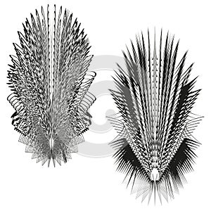 Set abstract geometric forms. Vector line patterns. Dynamic motion graphics. Symmetrical black art.