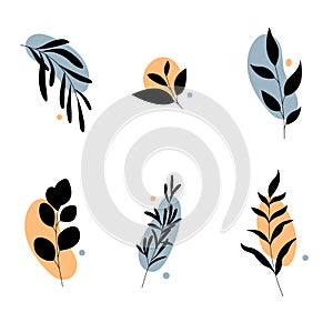 Set of abstract plants.Hand drawn silhouettes.