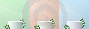 Set of abstract realistic 3D white cylinder pedestal podium with green leaf on green, beige and blue wall scene. Modern vector