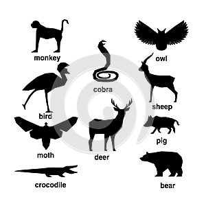 Set of abstract silhouettes of mammals.