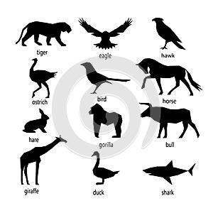 Set of abstract silhouettes of mammals.