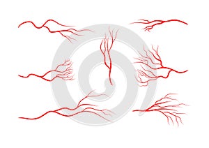 Set of abstract veins, blood vessels, arteries, capillaries.