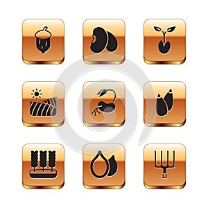 Set Acorn, oak nut, seed, Wheat, Pumpkin seeds, Sprout, Agriculture wheat field, Garden pitchfork and Beans icon. Vector