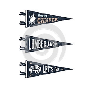 A set of adventure pennant flags. photo