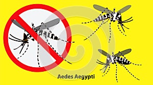 Set of Aedes aegypti mosquito isolated.