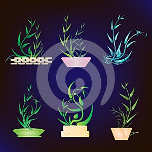 Set of aesthetic botanical tropical plant decoration abstract background art graphic design vector illustration