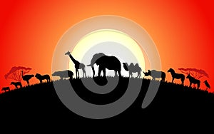 Set of african animals silhouette on sunset