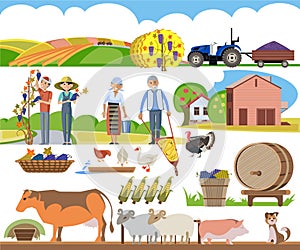 A set of agricultural elements