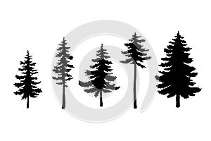 Set of ahnd drawn Christmas trees. Forest landscape elements