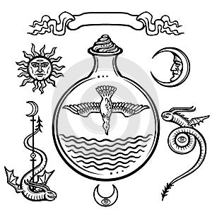 Set of alchemical symbols. Origin of life. Symbolical bird in a test tube. Religion, mysticism, occultism, sorcery.