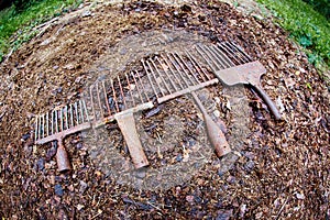 A set of ancient poaching tools for fishing - hooks and forks photo