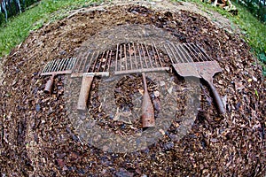 A set of ancient poaching tools for fishing - hooks and forks photo