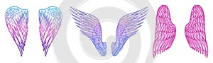 Set of Angel wings in vintage style. Template for tattoo and emblems, t-shirts and logo. Colorful emblem for stickers