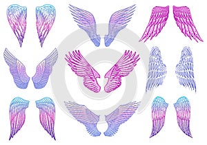 Set of Angel wings in vintage style. Template for tattoo and emblems, t-shirts and logo. Colorful emblem for stickers