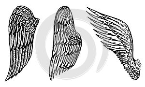 Set of Angel wings in vintage style. Template for tattoo and emblems, t-shirts and logo. Emblem for stickers. Engraved