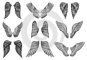 Set of Angel wings in vintage style. Template for tattoo and emblems, t-shirts and logo. Emblem for stickers. Engraved